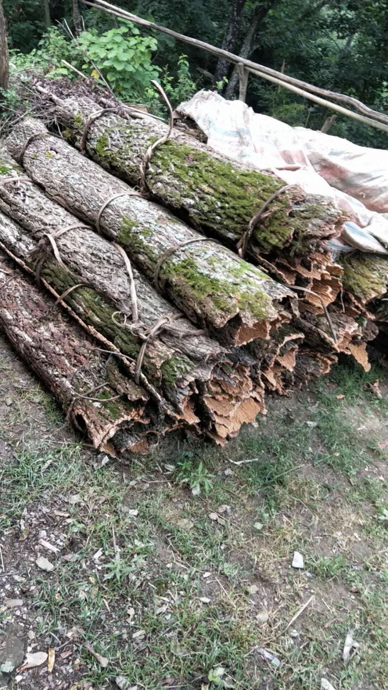 橡木树皮需要加我联系方式