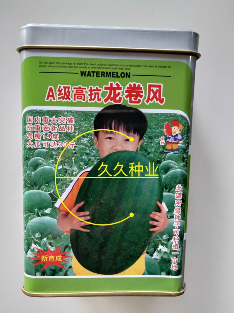 A级高抗龙卷风西瓜种子50克西瓜种子龙卷风种子