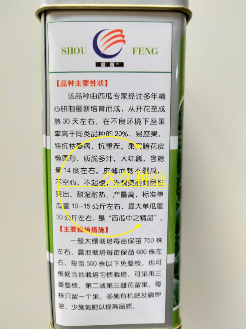 A级高抗龙卷风西瓜种子50克西瓜种子龙卷风种子