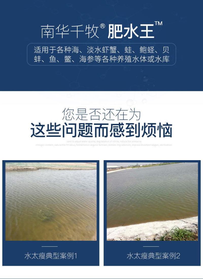 肥水膏肥水王浓缩生物肥水培藻小龙虾蟹鱼塘氨基酸肥水膏水产