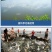 肥水膏肥水王浓缩生物肥水培藻小龙虾蟹鱼塘氨基酸肥水膏水产
