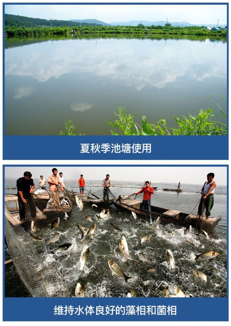 肥水膏肥水王浓缩生物肥水培藻小龙虾蟹鱼塘氨基酸肥水膏水产