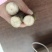 实心竹、各种农产品、白糖