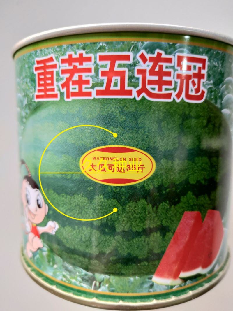 重茬五连冠1000粒西瓜种子抗重茬新品种高糖14度水果种