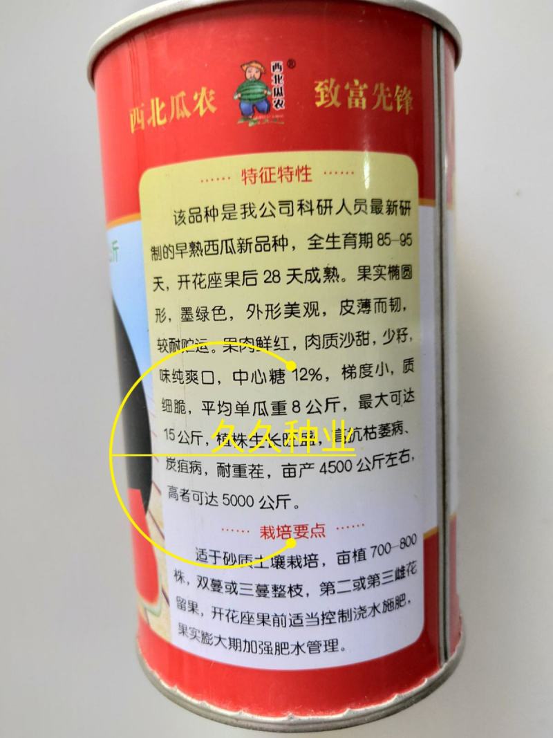 特大新抗八西瓜籽西瓜种子大棚种植早熟抗病耐四季蔬菜种孑