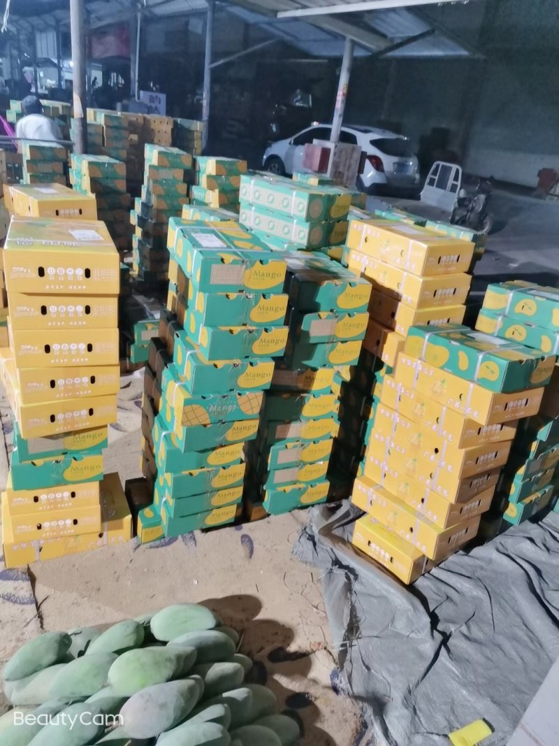 明星产品精品芒果台农贵妃红金龙金煌，支持一件代发货