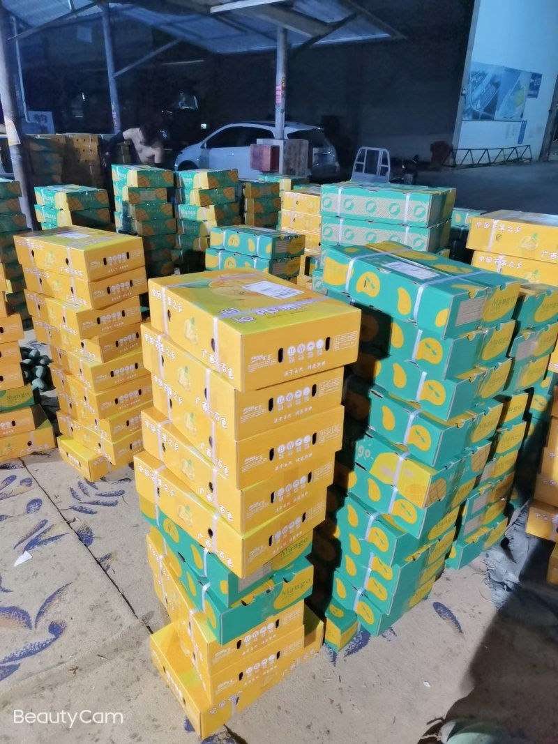 明星产品精品芒果台农贵妃红金龙金煌，支持一件代发货