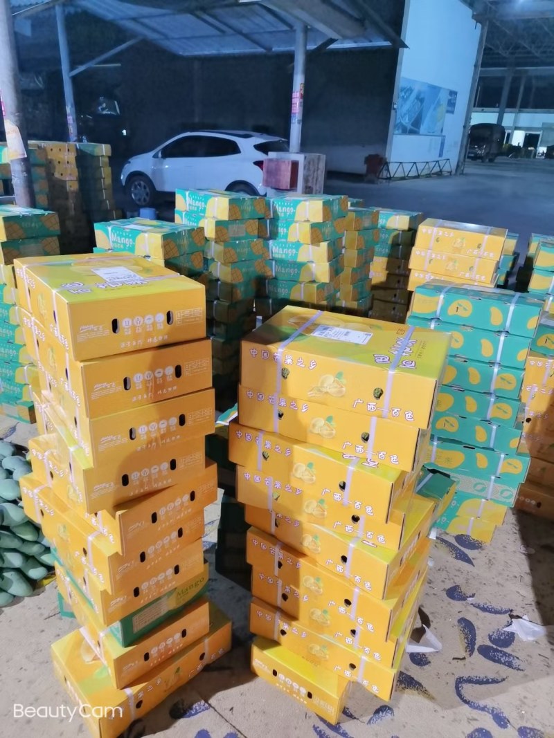 明星产品精品芒果台农贵妃红金龙金煌，支持一件代发货