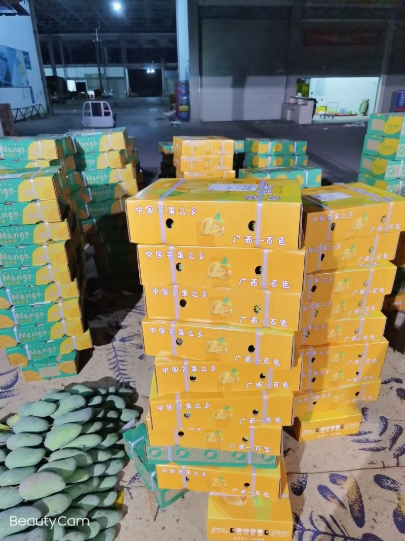 明星产品精品芒果台农贵妃红金龙金煌，支持一件代发货