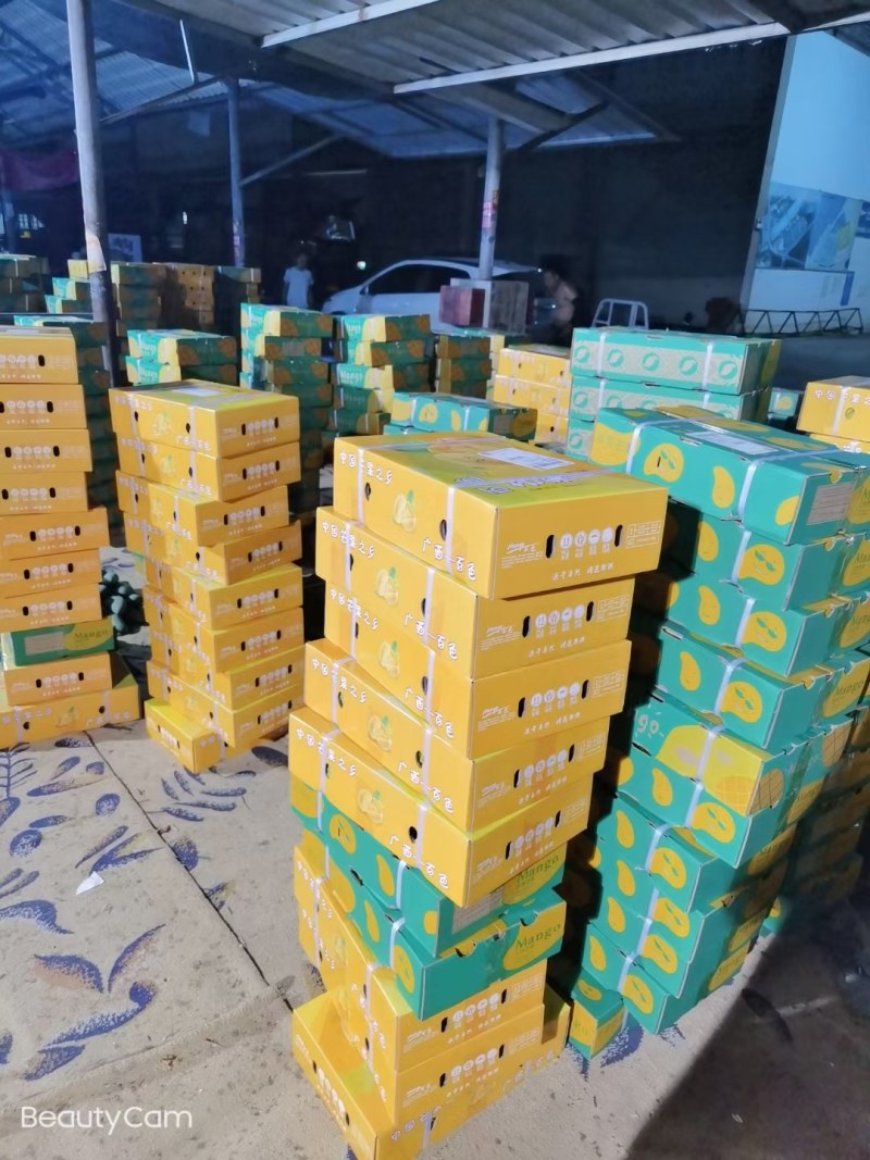 明星产品精品芒果台农贵妃红金龙金煌，支持一件代发货