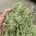苜蓿甘肃玉门头茬苜蓿草大捆蛋白19左右头茬苜蓿草