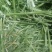 苜蓿甘肃玉门头茬苜蓿草大捆蛋白19左右头茬苜蓿草