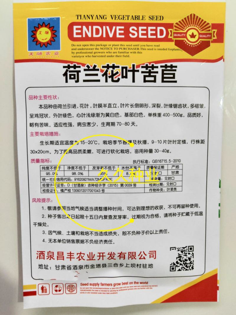 黄心细叶苦菊种籽花皇帝苦苣蔬菜四季播荷兰花叶苦苣菜种子