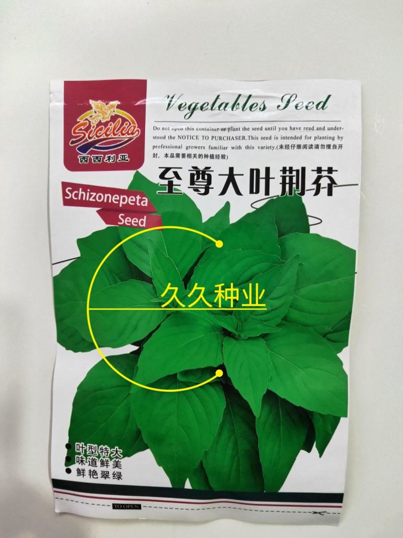 大叶小叶荆芥苋菜种籽苋菜籽春季蔬菜种子四季孑盆栽野菜