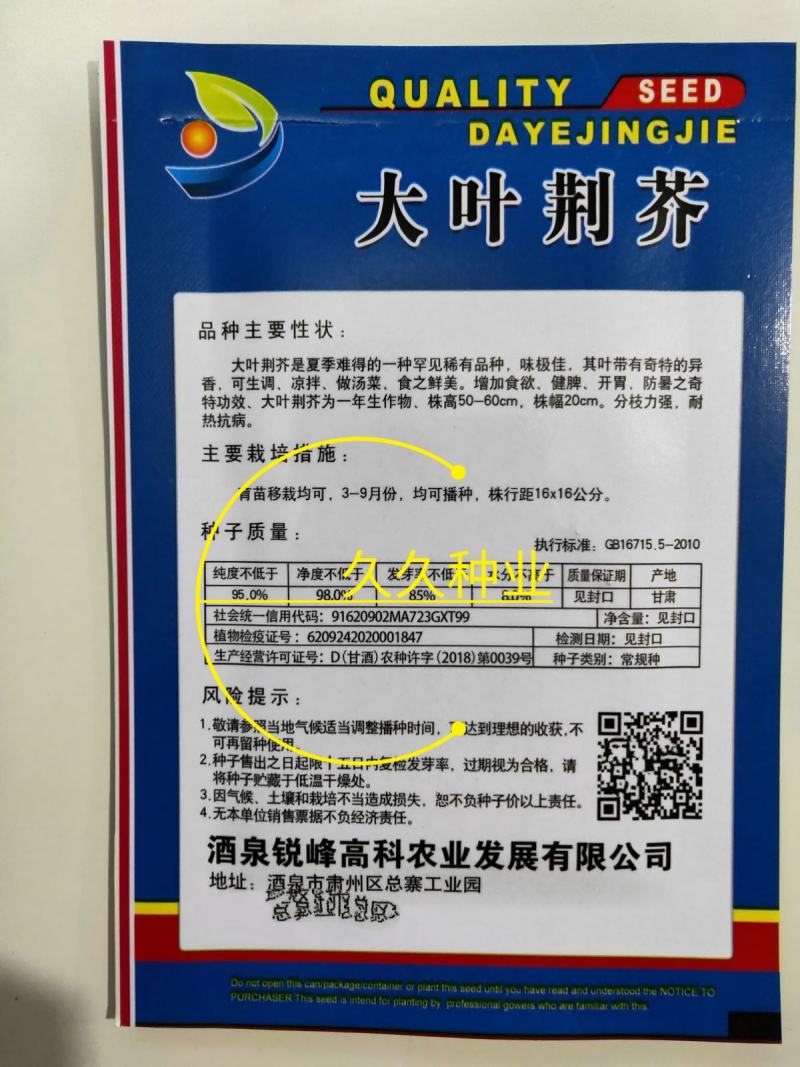 大叶荆芥苋菜种籽苋菜籽春季蔬菜种子四季孑盆栽野菜