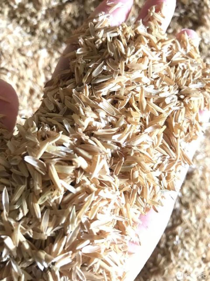 常年出售压缩稻壳厂家直销