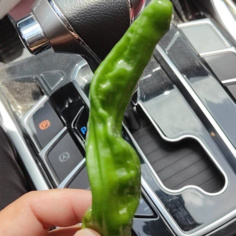 【推荐】陕北小皱皮辣椒大量上市保质保量对接全国批发商