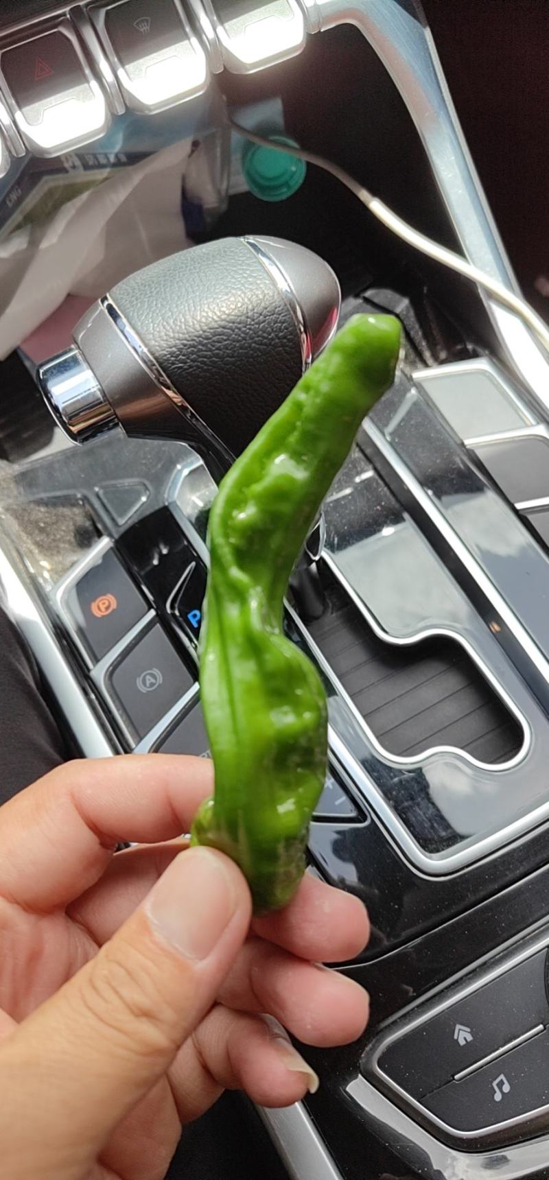 【推荐】陕北小皱皮辣椒大量上市保质保量对接全国批发商