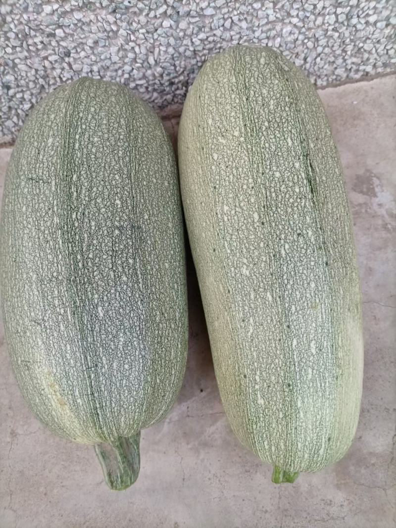 甘蓝