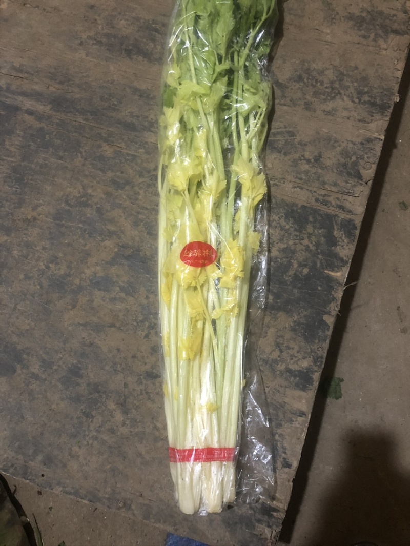 马家沟芹菜精品特菜，酒店，市场，专业种植销售