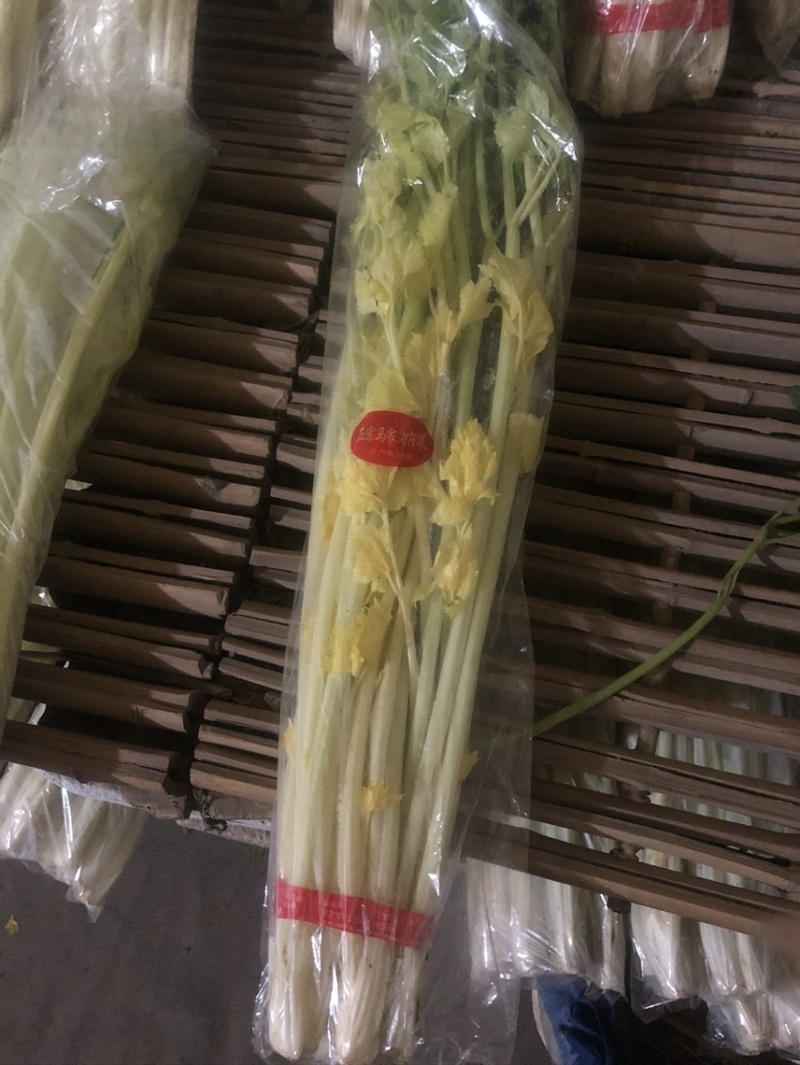 马家沟芹菜精品特菜，酒店，市场，专业种植销售