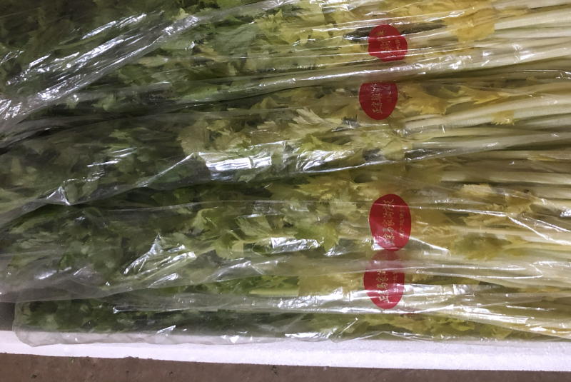 马家沟芹菜精品特菜，酒店，市场，专业种植销售