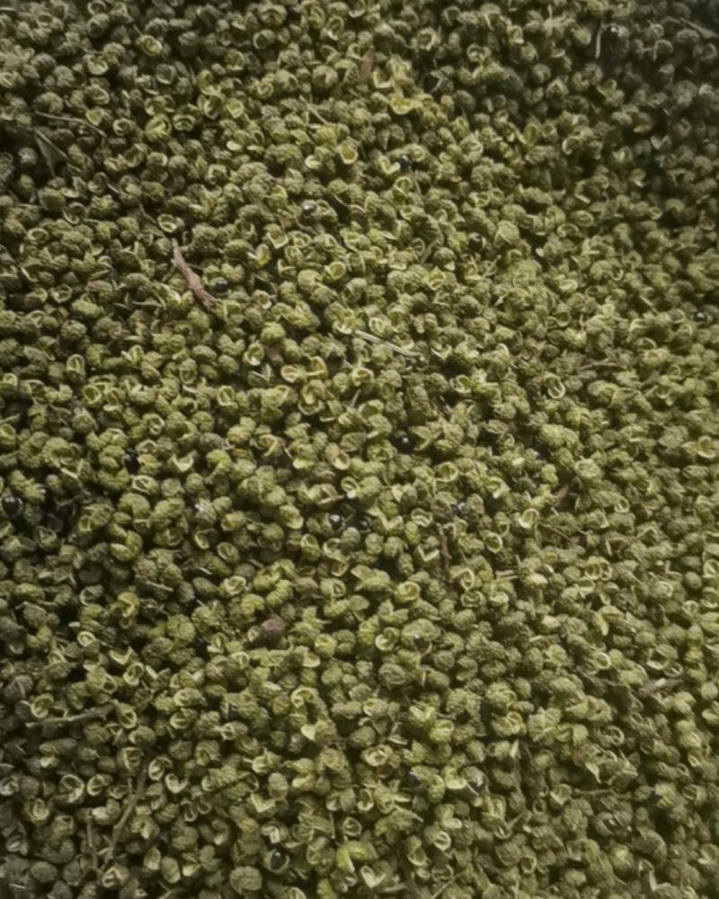 【联系我时说是在一亩田看到的】云南省昭通市彝良县，青花椒
