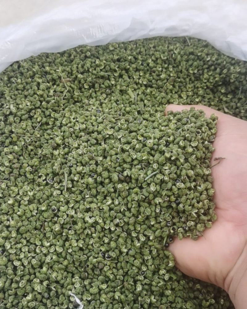 【联系我时说是在一亩田看到的】云南省昭通市彝良县，青花椒