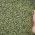 【联系我时说是在一亩田看到的】云南省昭通市彝良县，青花椒
