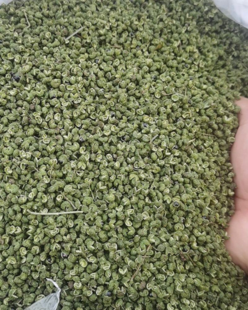 【联系我时说是在一亩田看到的】云南省昭通市彝良县，青花椒