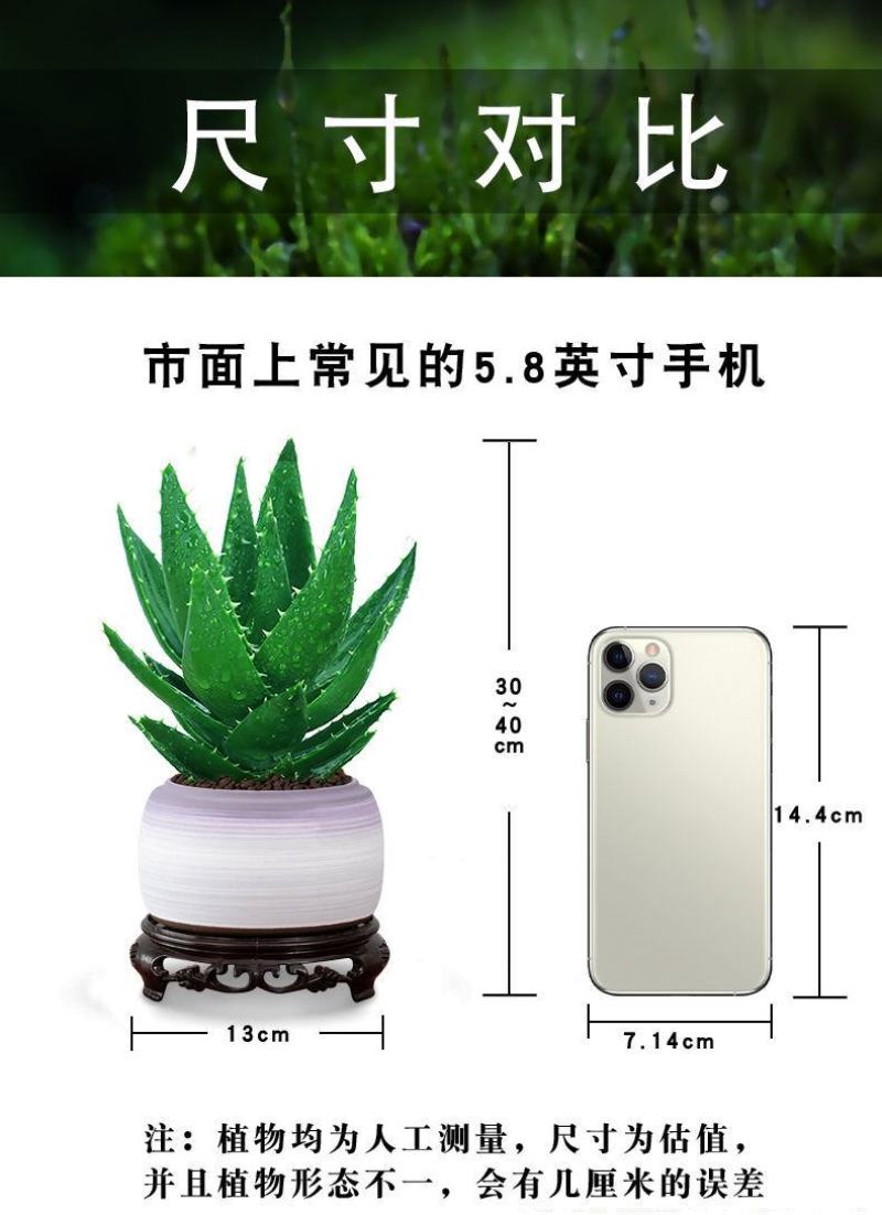 芦荟盆栽植物室内桌面防辐射吸甲醛绿植办公室净化空气耐旱懒