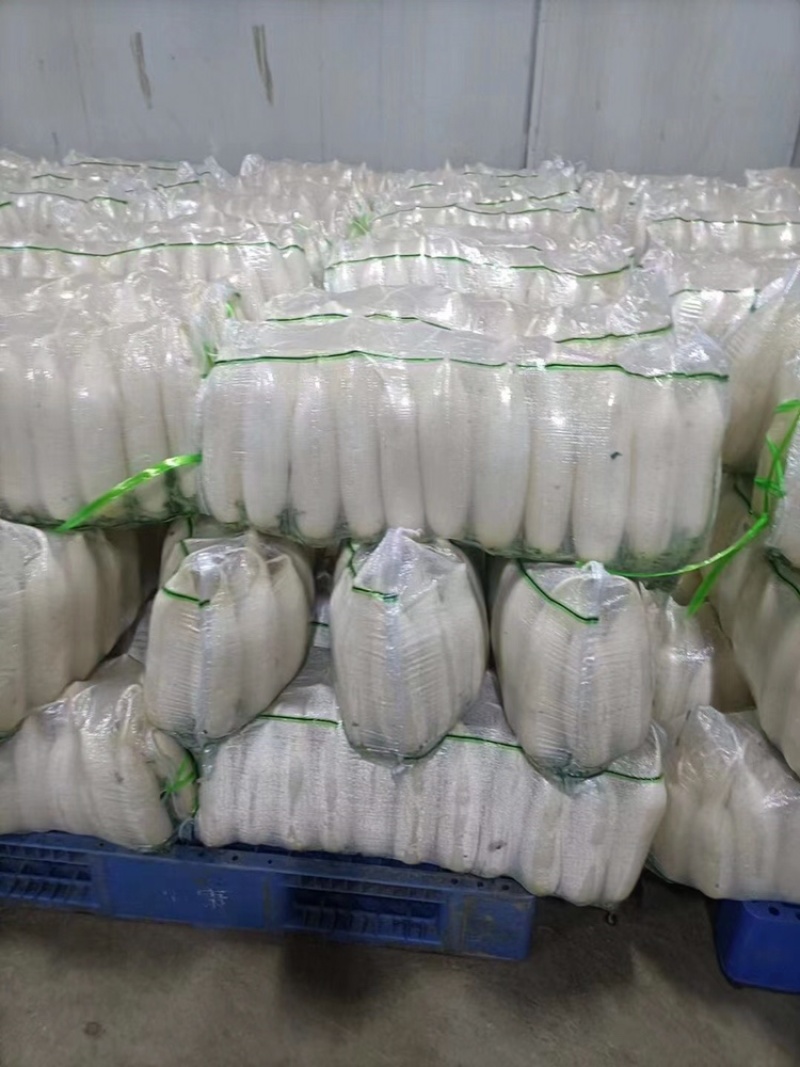 精品白萝卜，高山白萝卜口感脆甜，产地一手货源，保质保量