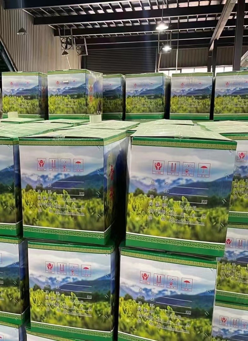高山云雾绿茶批发明前茶豆香味口粮茶500克茶叶自己喝