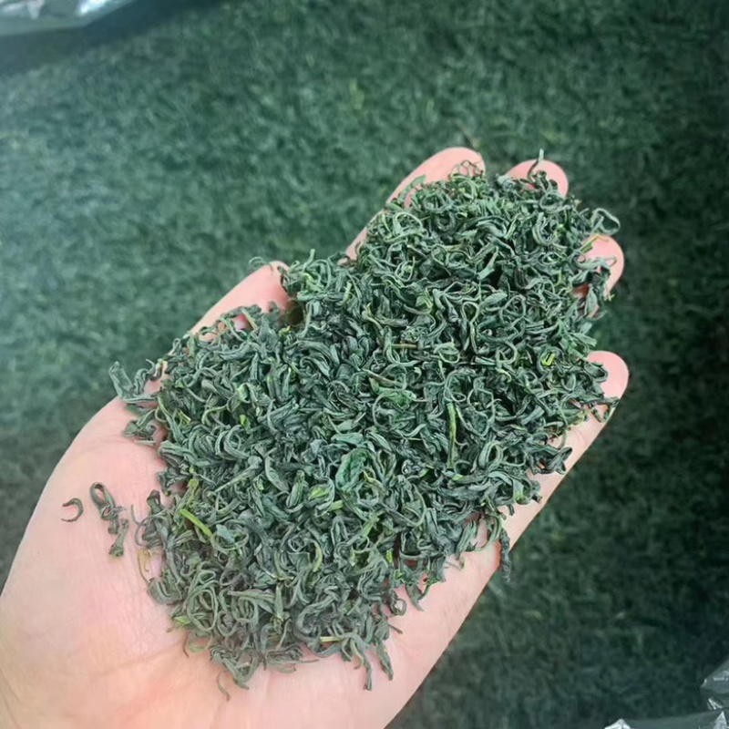 高山云雾绿茶批发明前茶豆香味口粮茶500克茶叶自己喝