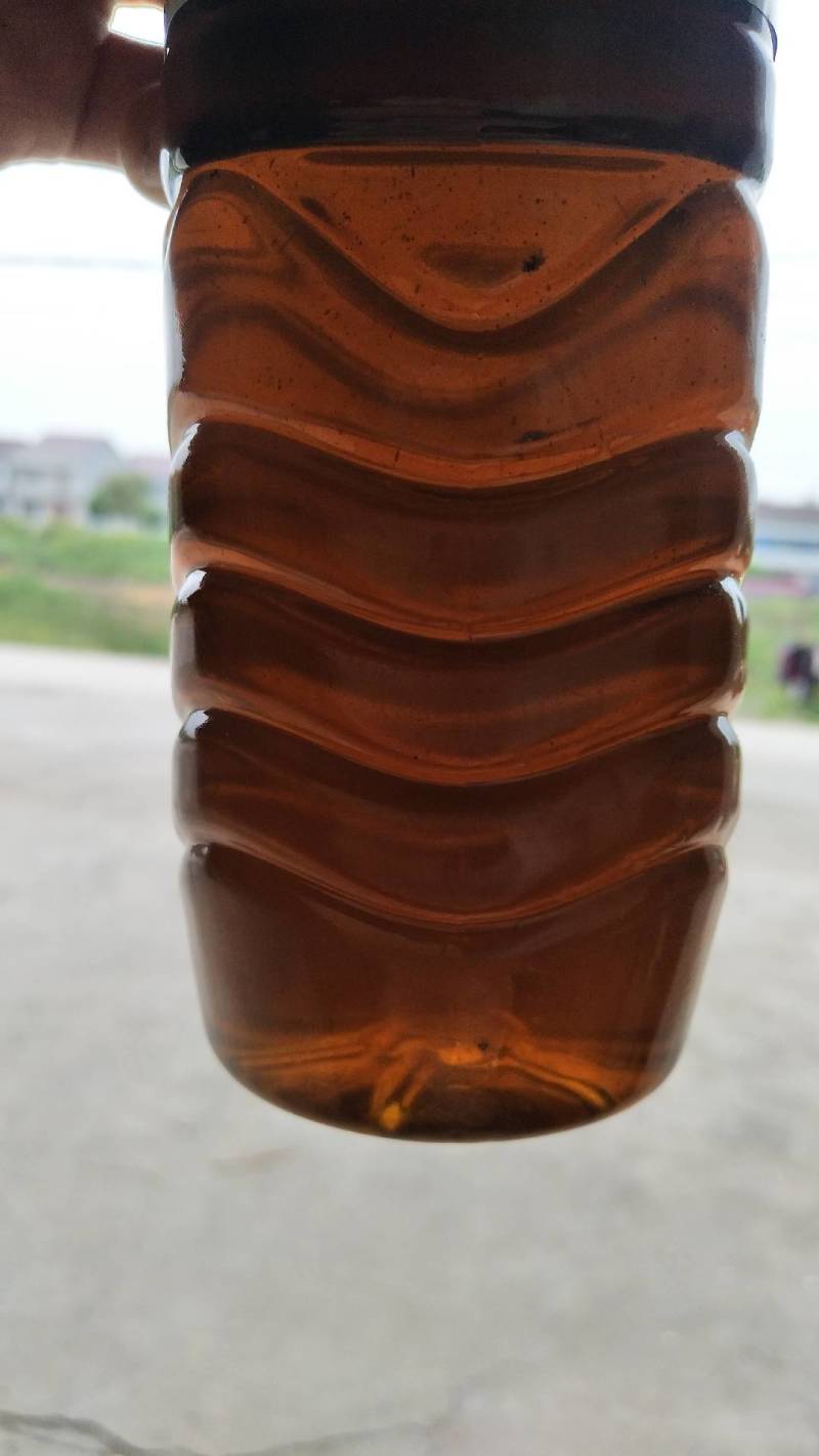 安庆油菜籽