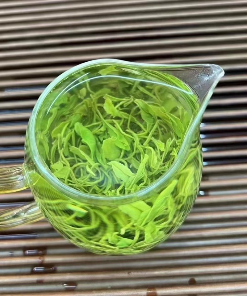 高山云雾绿茶批发明前茶豆香味口粮茶500克茶叶自己喝