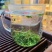 高山云雾绿茶批发明前茶豆香味口粮茶500克茶叶自己喝