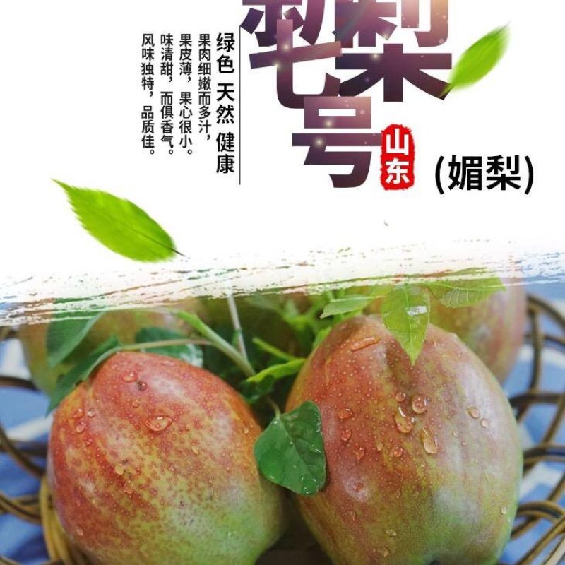 山东省滨州市阳信县新梨7号产地直销