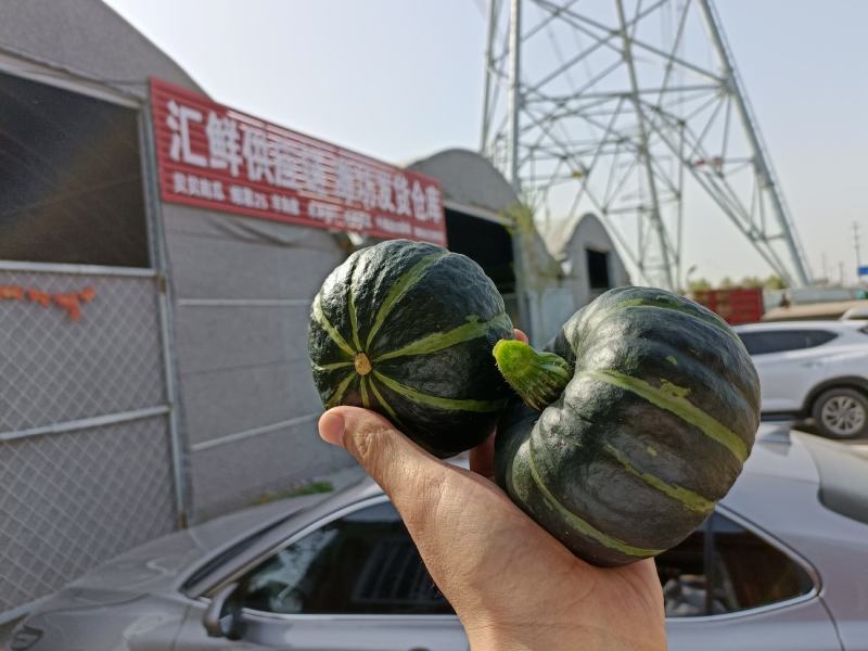 山东贝贝南瓜粉糯香甜3/5/9礼盒装整车批发代发水瓜包赔