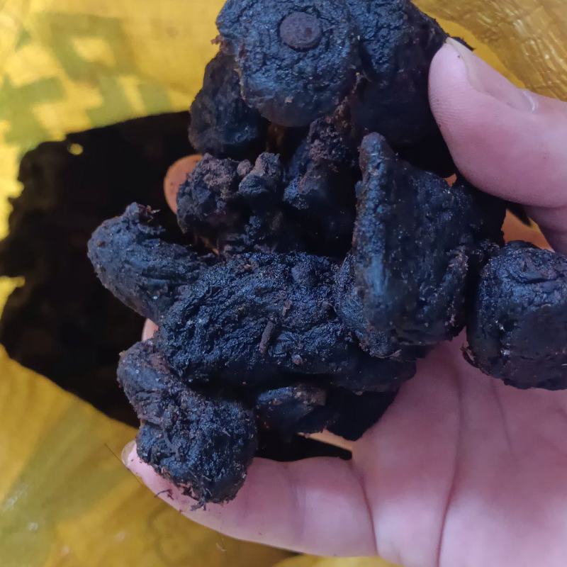 九蒸九晒黄精各种型号都有欢迎电话联系价格优惠