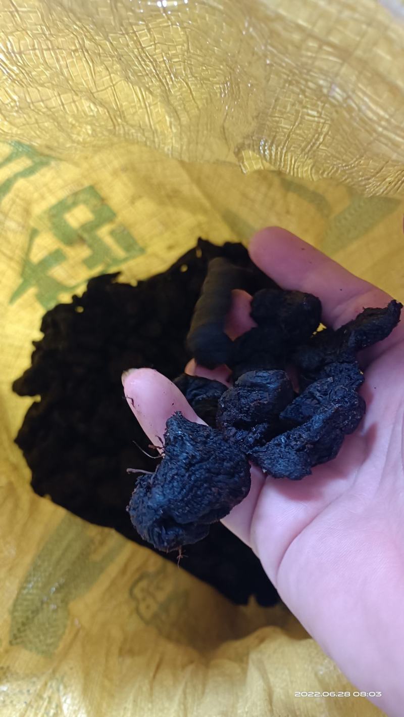 九蒸九晒黄精各种型号都有欢迎电话联系价格优惠