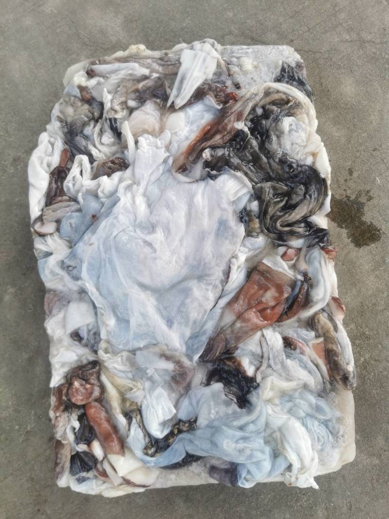 秘鲁鱿鱼大片皮长期供应质量鲜度保证