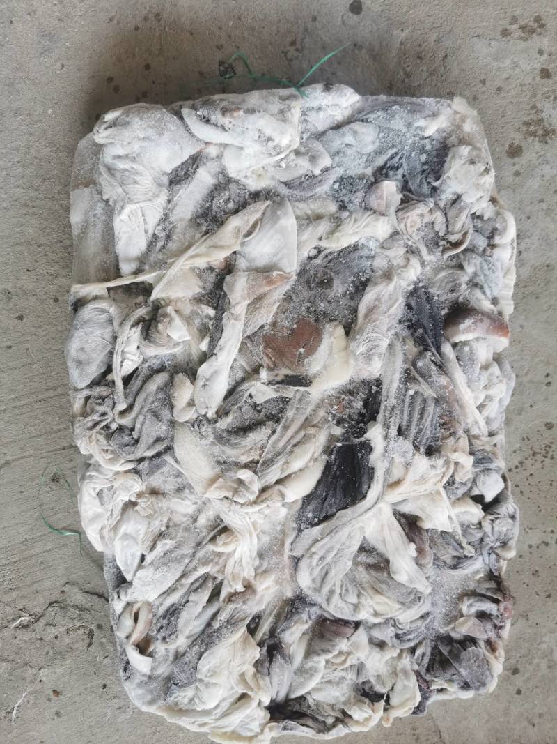 秘鲁鱿鱼大片皮长期供应质量鲜度保证