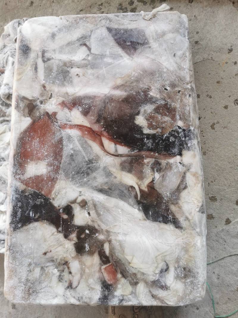秘鲁鱿鱼大片皮长期供应质量鲜度保证