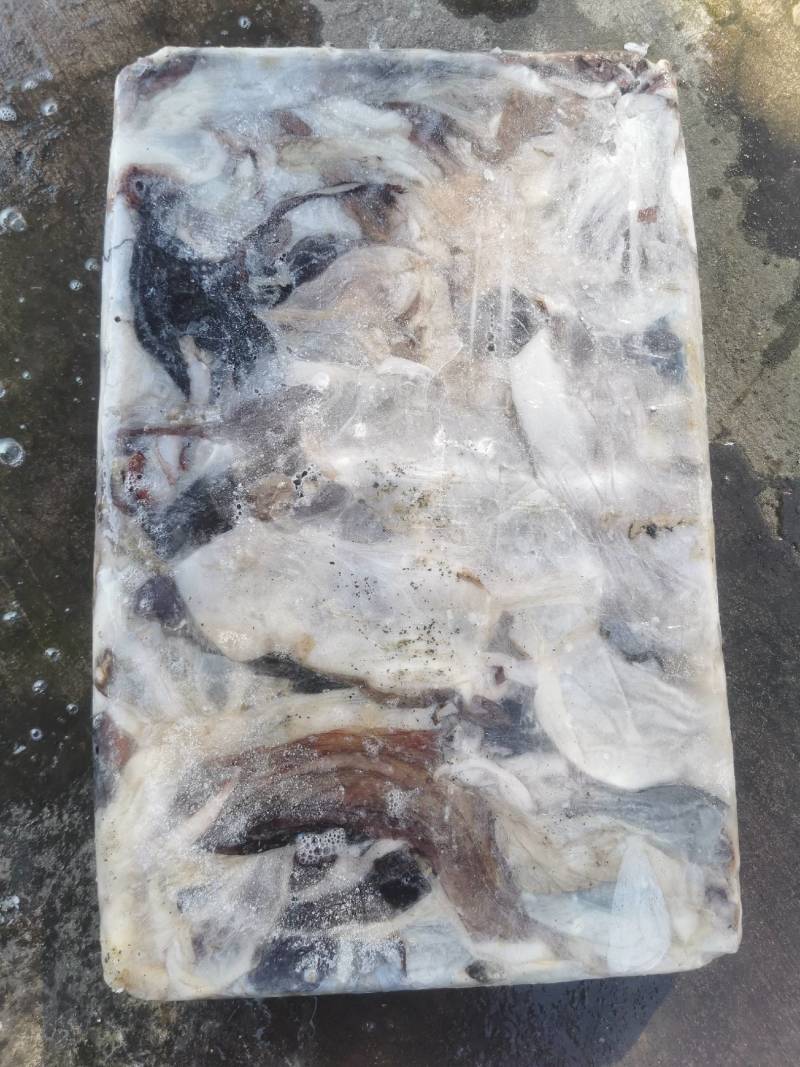 秘鲁鱿鱼大片皮长期供应质量鲜度保证