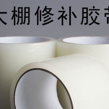 品名：大棚修补胶带规格：宽7cm长10m60卷/箱