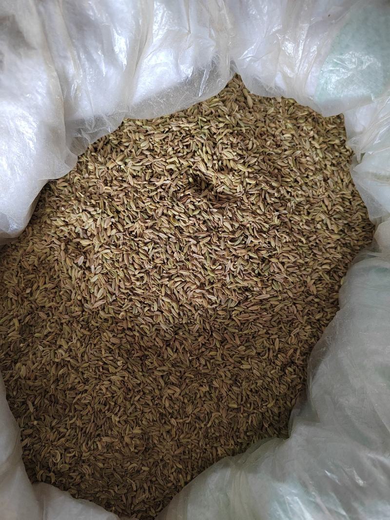 绿色小茴香大料批发质量保证丹丹中药材各种香料