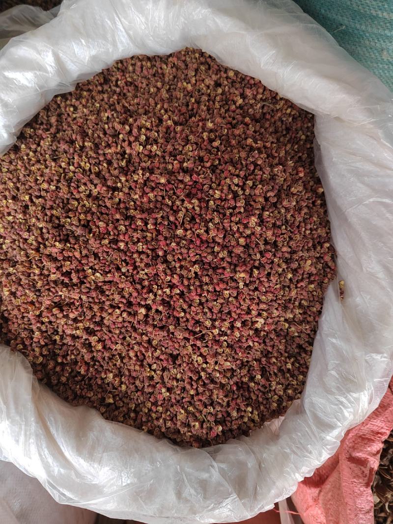 绿色小茴香大料批发质量保证丹丹中药材各种香料