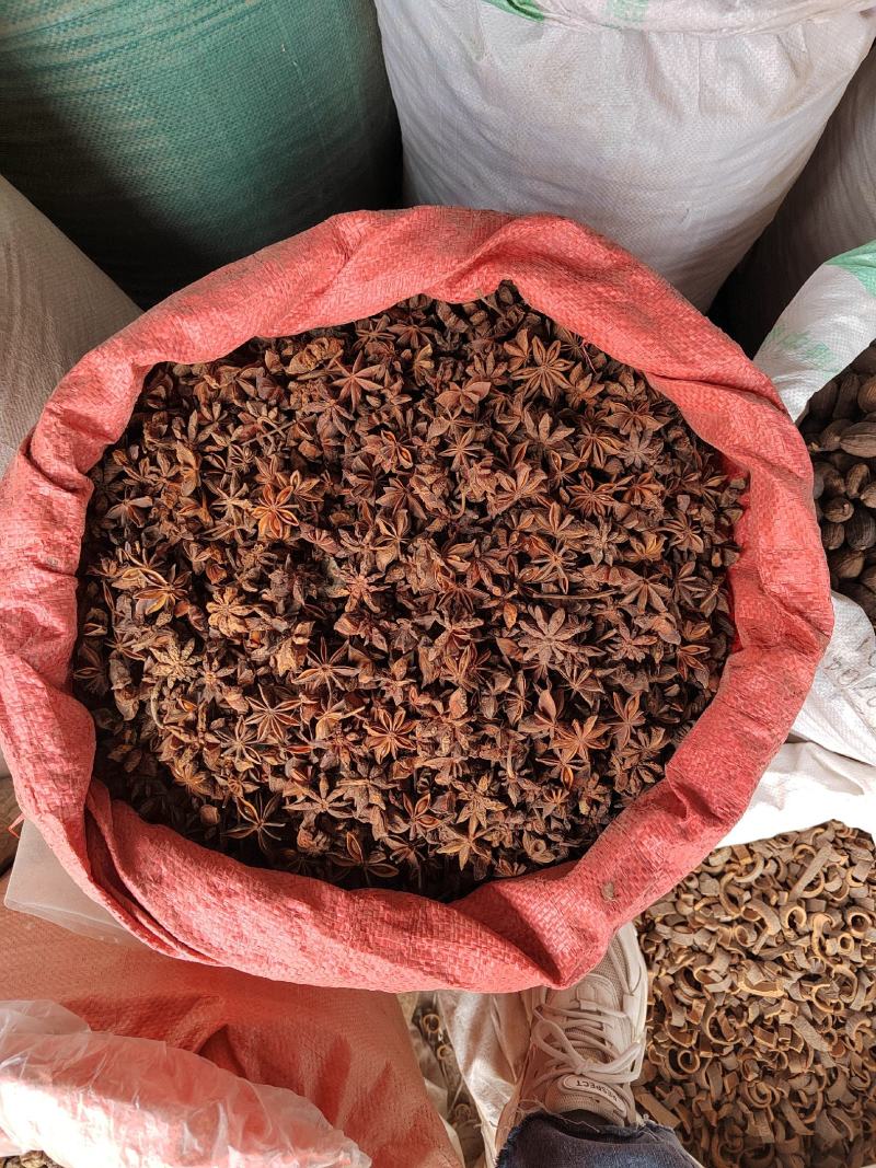 绿色小茴香大料批发质量保证丹丹中药材各种香料