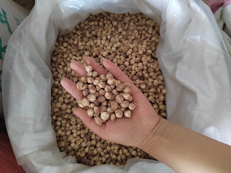 干姜，干姜个，大料批发，中药材专用姜片产地一手货源可打粉